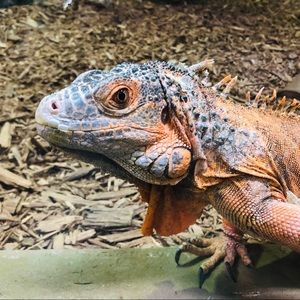 Meet your Posher, Aimee